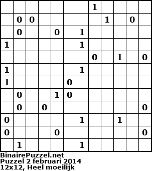 Binaire Puzzel