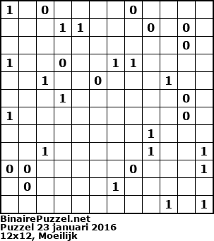 Binaire Puzzel