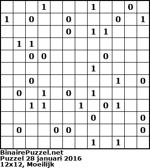 Binaire Puzzel