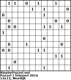 Binaire Puzzel