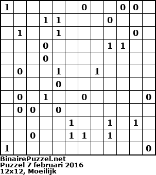 Binaire Puzzel