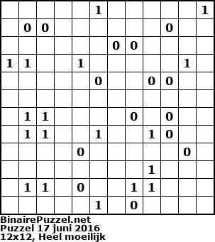 Binaire Puzzel