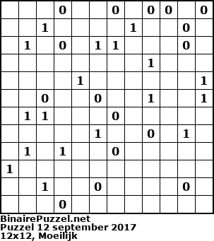 Binaire Puzzel