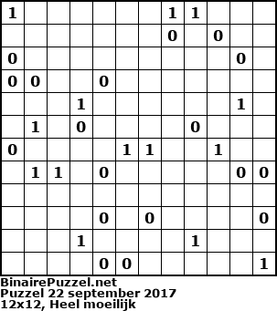 Binaire Puzzel