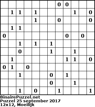 Binaire Puzzel
