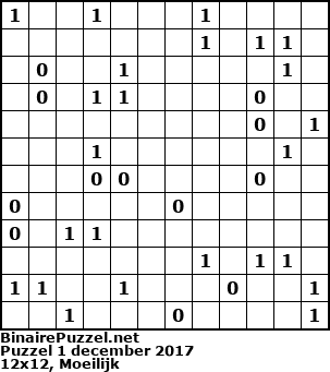 Binaire Puzzel