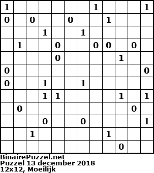 Binaire Puzzel