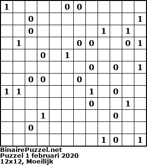 Binaire Puzzel