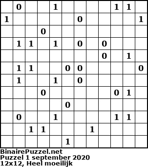 Binaire Puzzel
