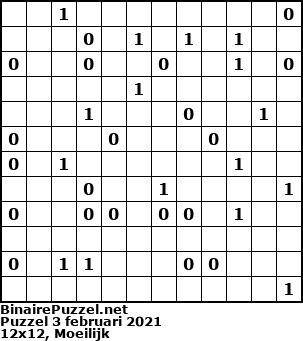 Binaire Puzzel