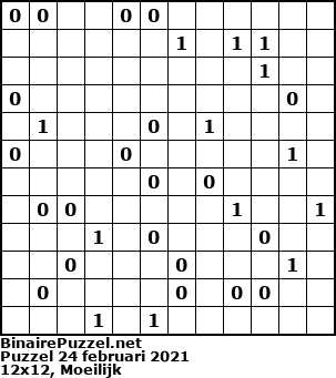Binaire Puzzel
