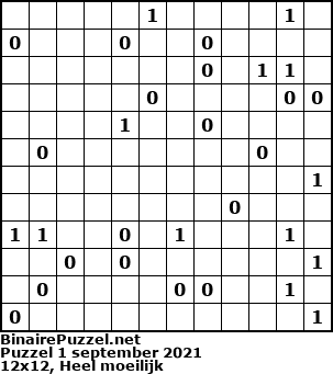 Binaire Puzzel