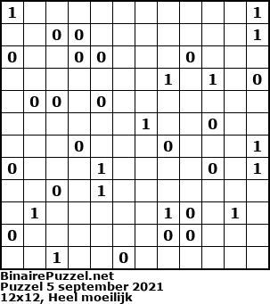 Binaire Puzzel