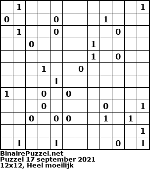 Binaire Puzzel