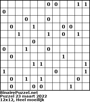 Binaire Puzzel