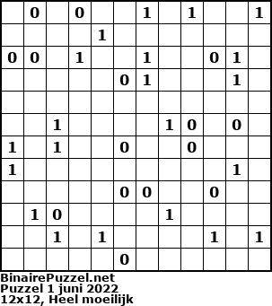 Binaire Puzzel