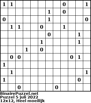 Binaire Puzzel