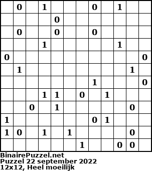 Binaire Puzzel