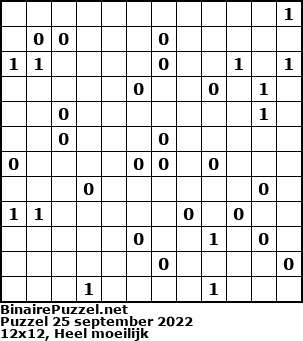 Binaire Puzzel