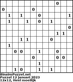 Binaire Puzzel
