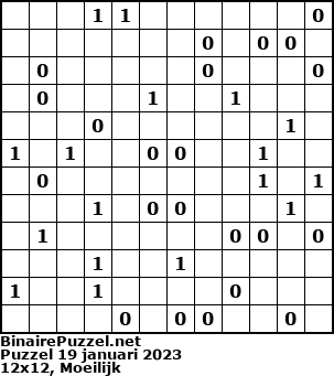 Binaire Puzzel