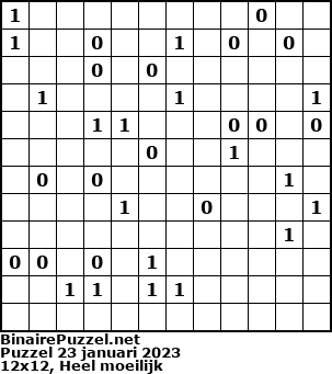 Binaire Puzzel