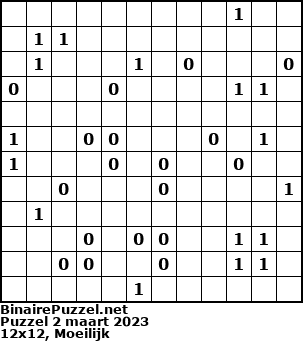 Binaire Puzzel