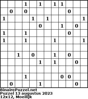 Binaire Puzzel