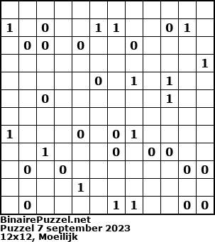 Binaire Puzzel