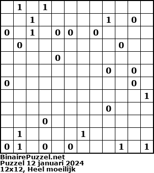 Binaire Puzzel