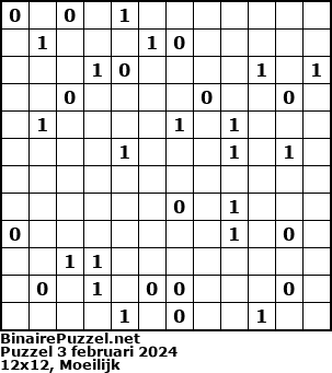Binaire Puzzel