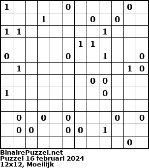 Binaire Puzzel