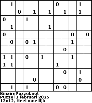 Binaire Puzzel