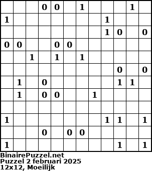Binaire Puzzel