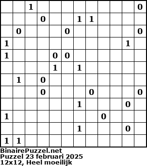 Binaire Puzzel