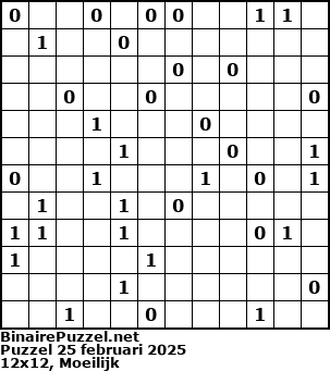 Binaire Puzzel