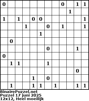 Binaire Puzzel
