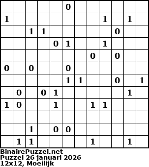 Binaire Puzzel