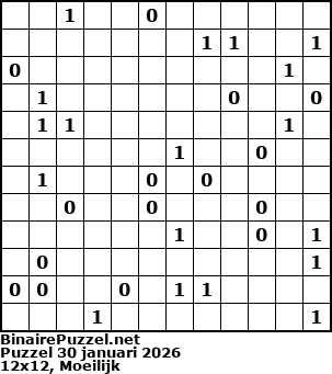 Binaire Puzzel
