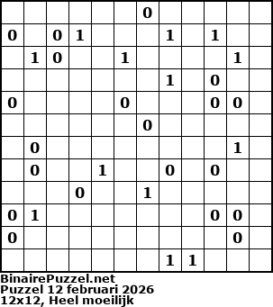 Binaire Puzzel