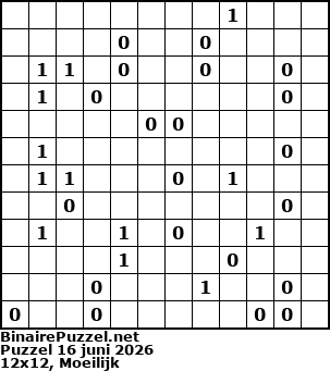 Binaire Puzzel