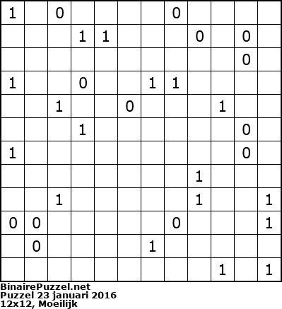Binaire Puzzel