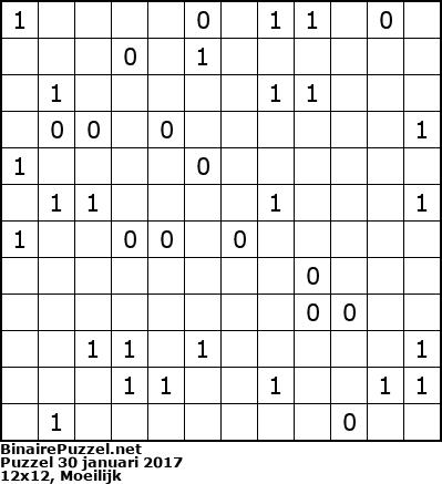 Binaire Puzzel