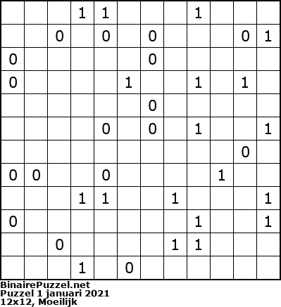 Binaire Puzzel