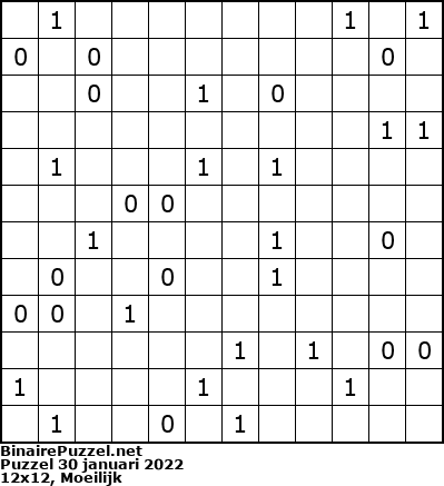Binaire Puzzel
