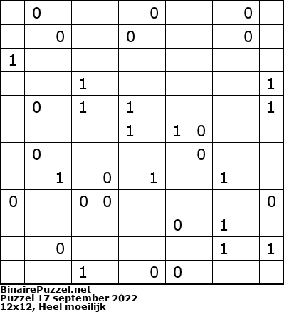 Binaire Puzzel