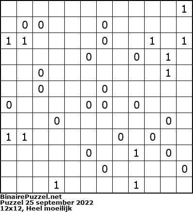 Binaire Puzzel
