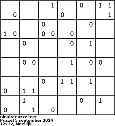 Binaire Puzzel