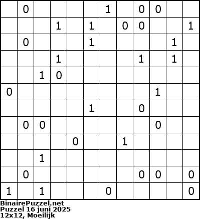 Binaire Puzzel