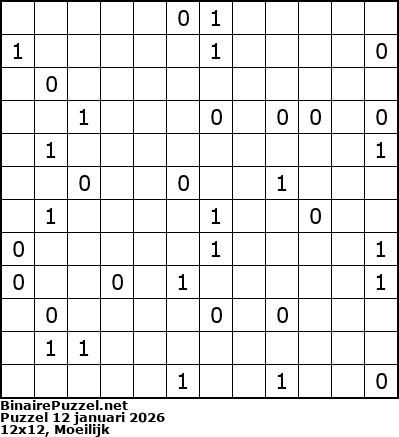 Binaire Puzzel